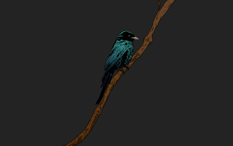 bird on a branch