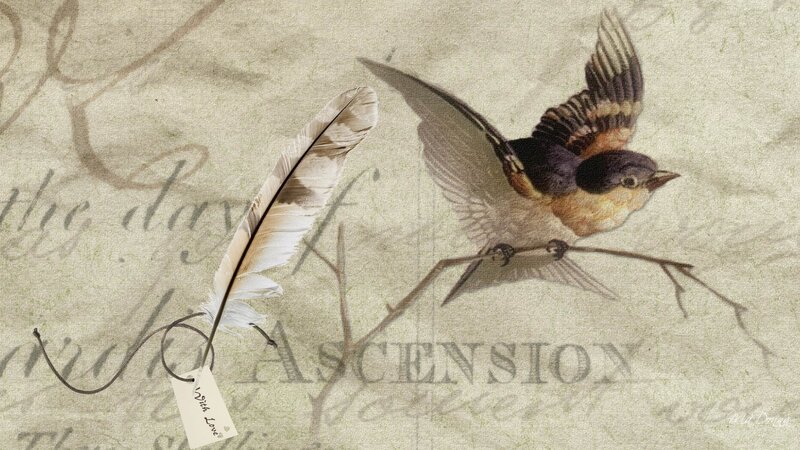 Bird on a Branch — Beige