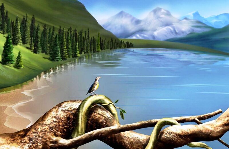 Bird on a branch by a lake