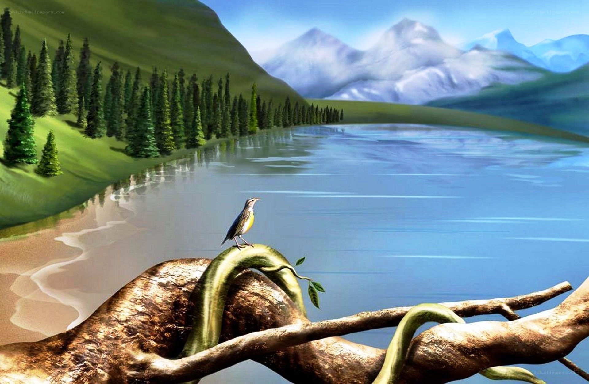 Bird on a branch by a lake
