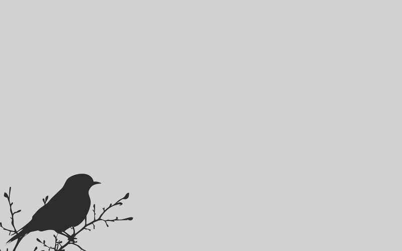 Bird on a Branch — Gray, Calm, Minimalist