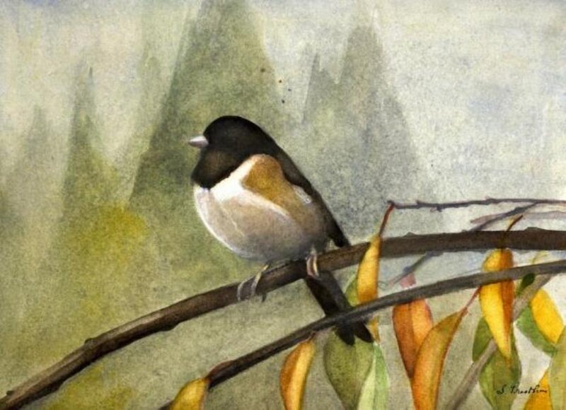 Bird on a Branch — Green, Calm, Autumn