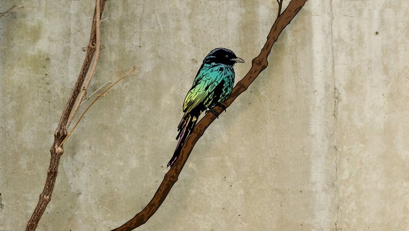 Bird on a Branch — Green, Calm, Illustration