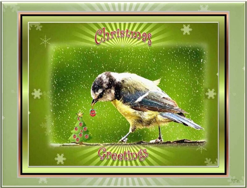 Bird on a Branch — Green, Festive
