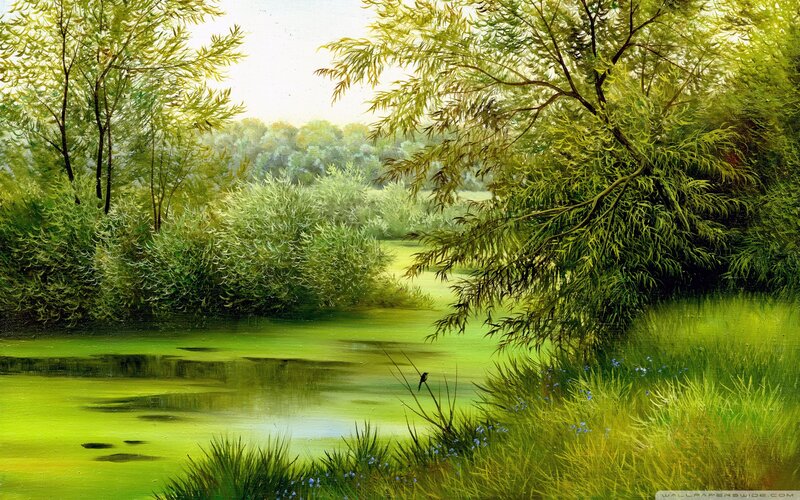 Bird on a Branch — Green, Serene, Afternoon