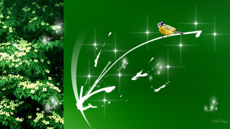 Bird on a Branch — Green, Serene, Digital Art