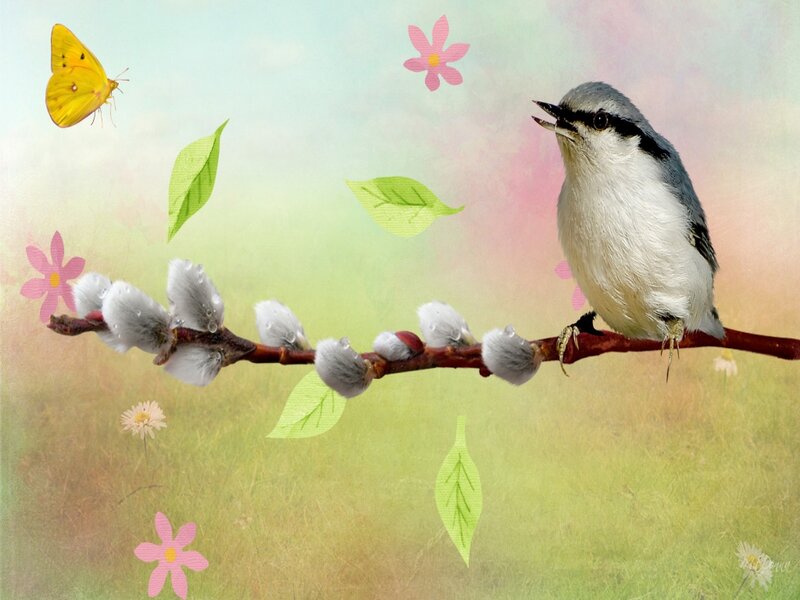 Bird on a Branch — Green, Serene, Spring, Digital Art