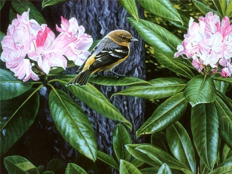Bird on a Branch — Green, Serene, Spring