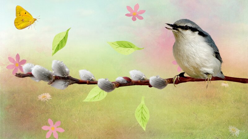 Bird on a Branch — Green, Serene