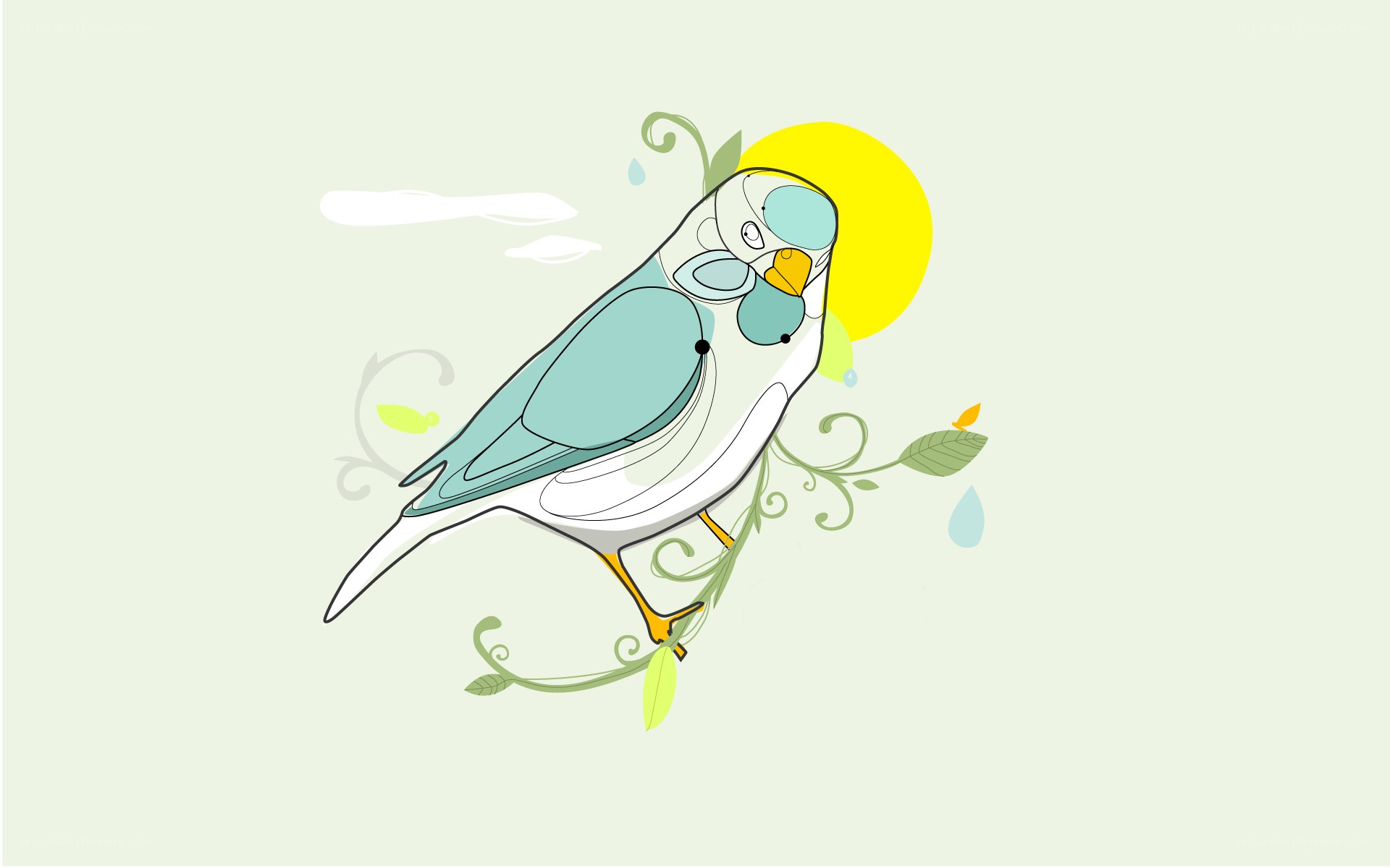 bird on a branch illustration