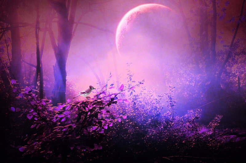 Bird on a Branch — Purple