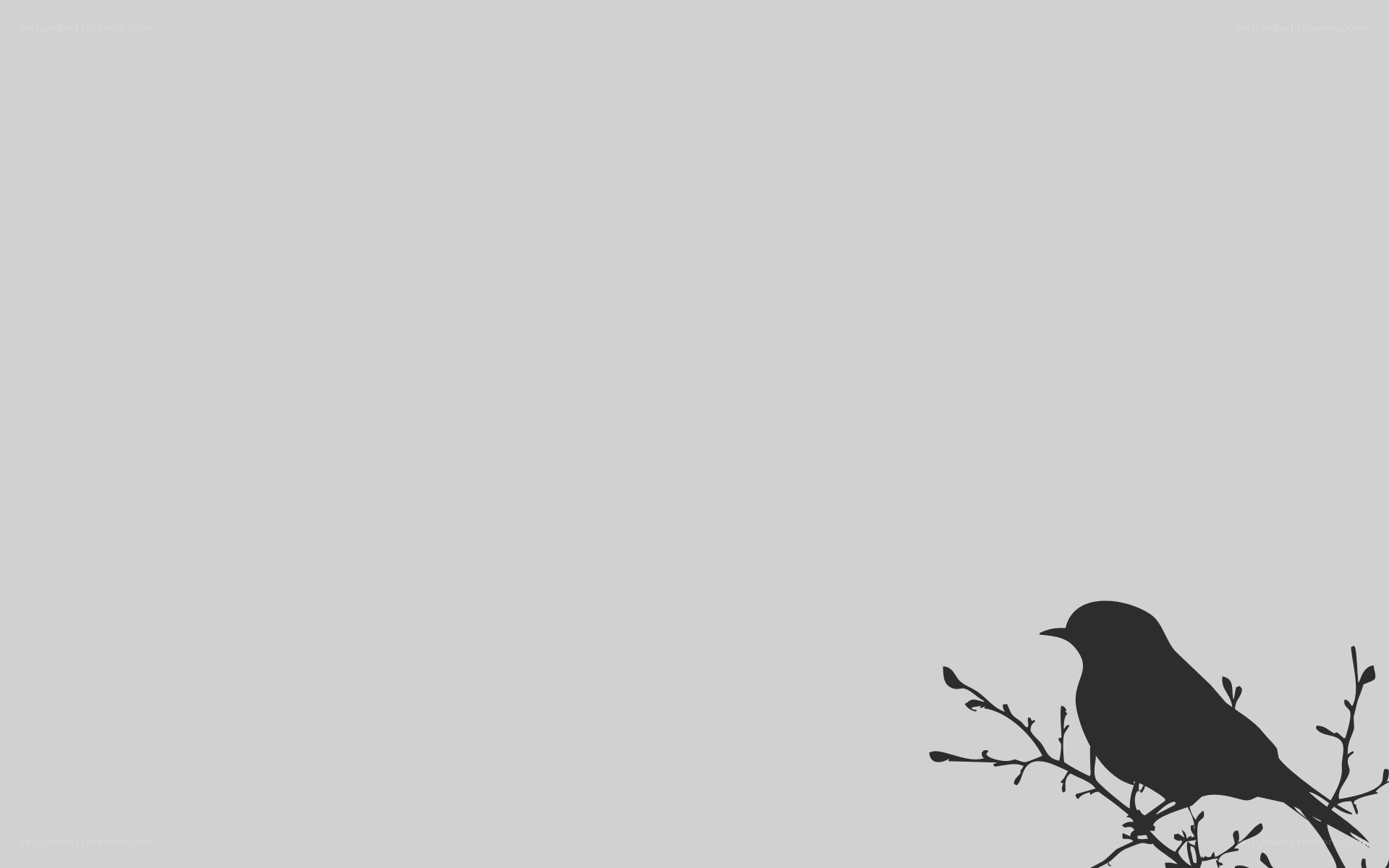 bird on a branch silhouette