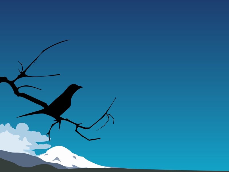 bird on a branch silhouette
