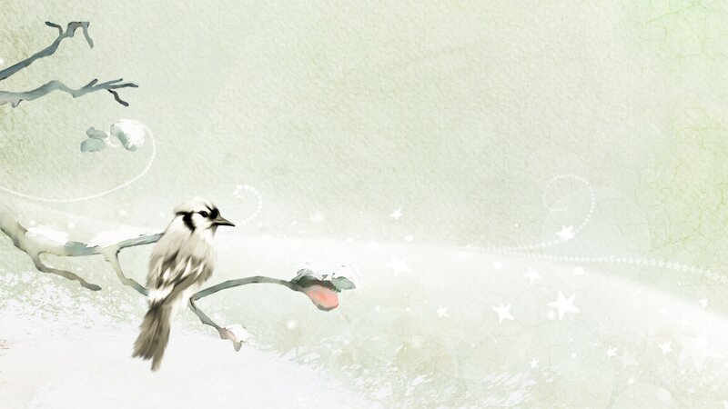 Bird on a Branch — White, Serene