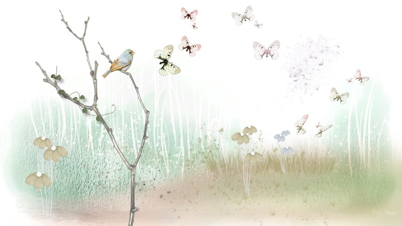 Bird on a Branch — White
