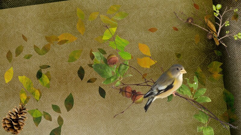 Bird on a branch with autumn leaves