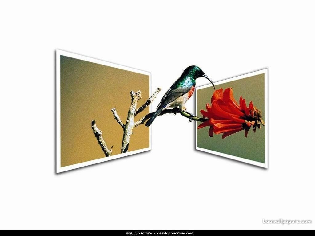 bird on a branch with flowers