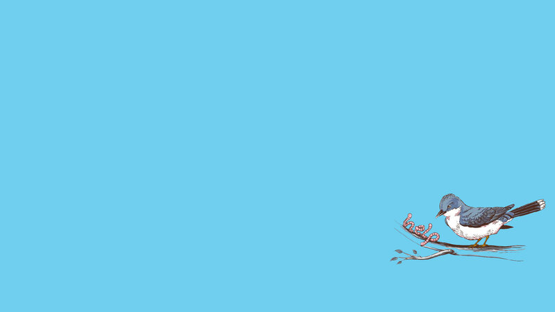 bird on a branch with help