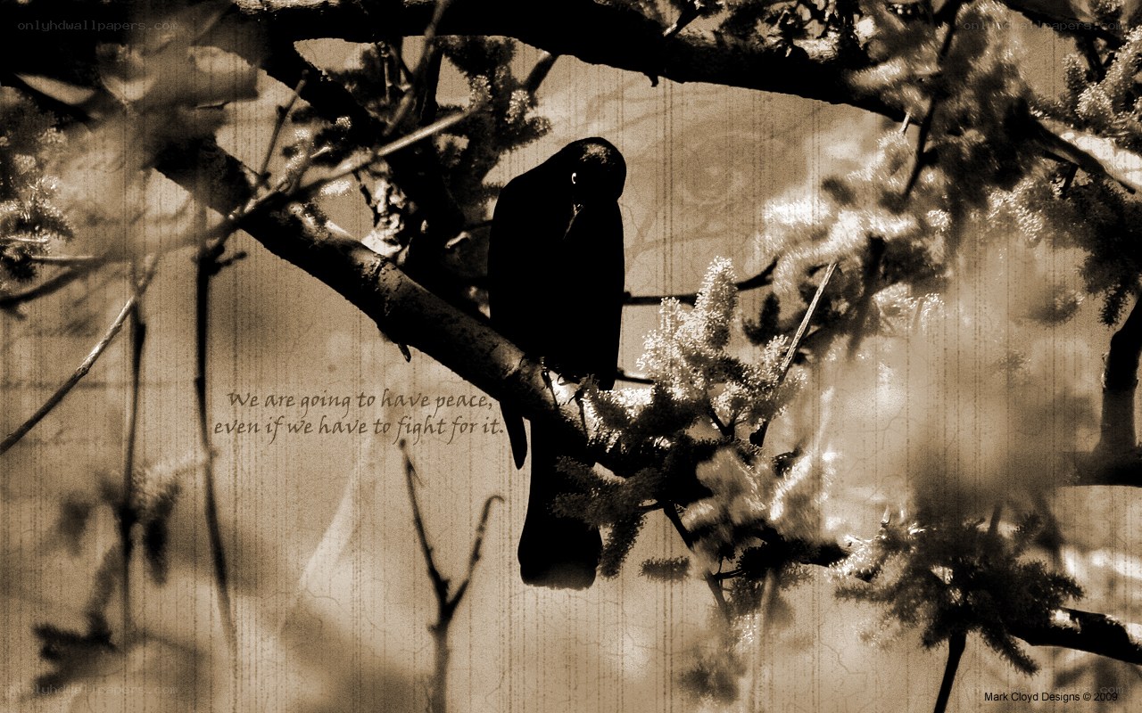 bird on a branch with quote