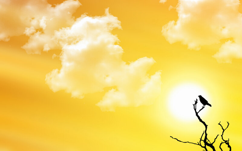 Bird on a Branch — Yellow, Serene, Sunset, Digital Art