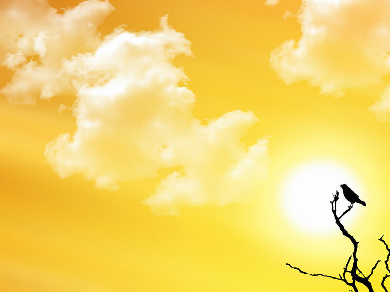 Bird on a Branch — Yellow