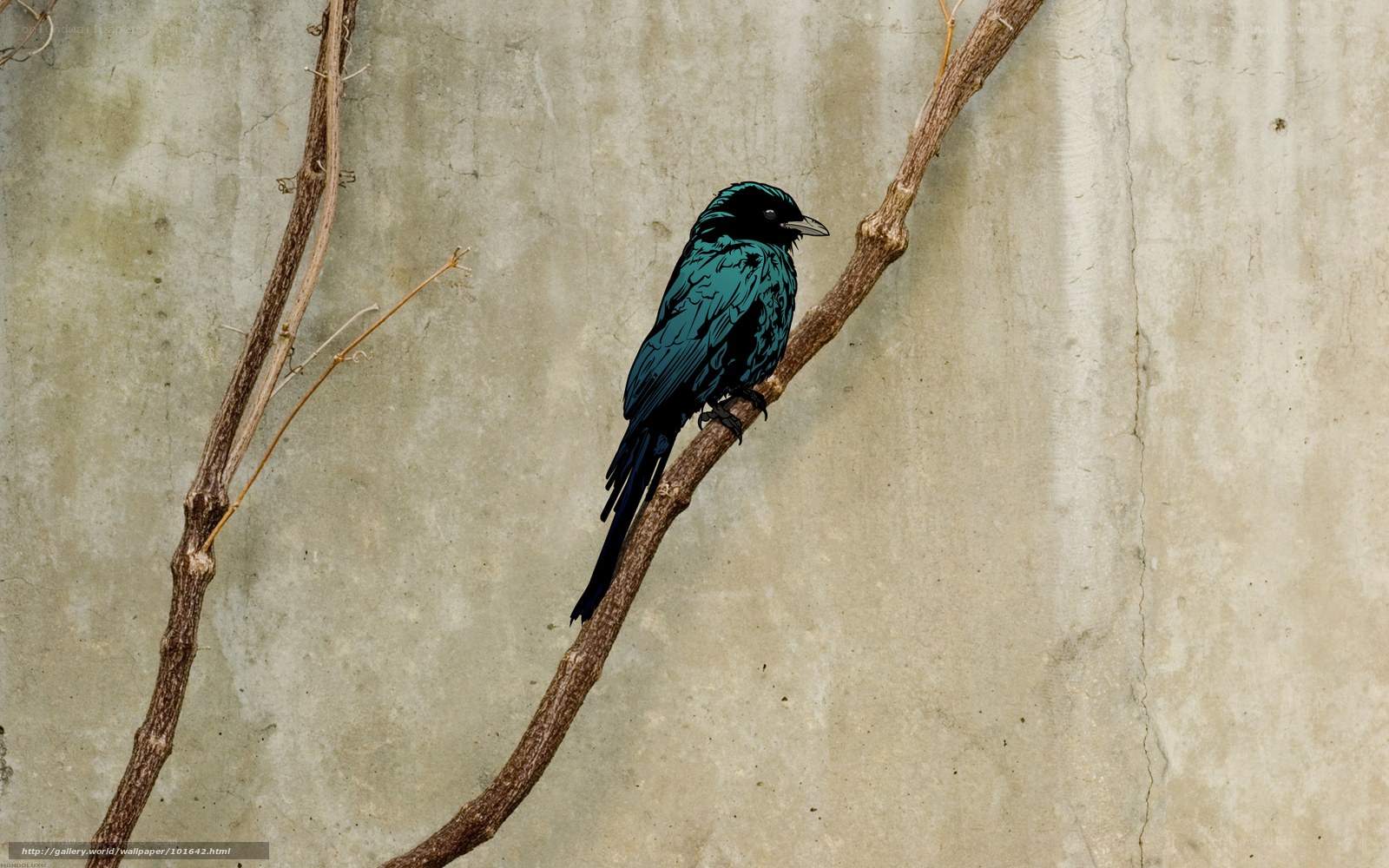 bird on a branch
