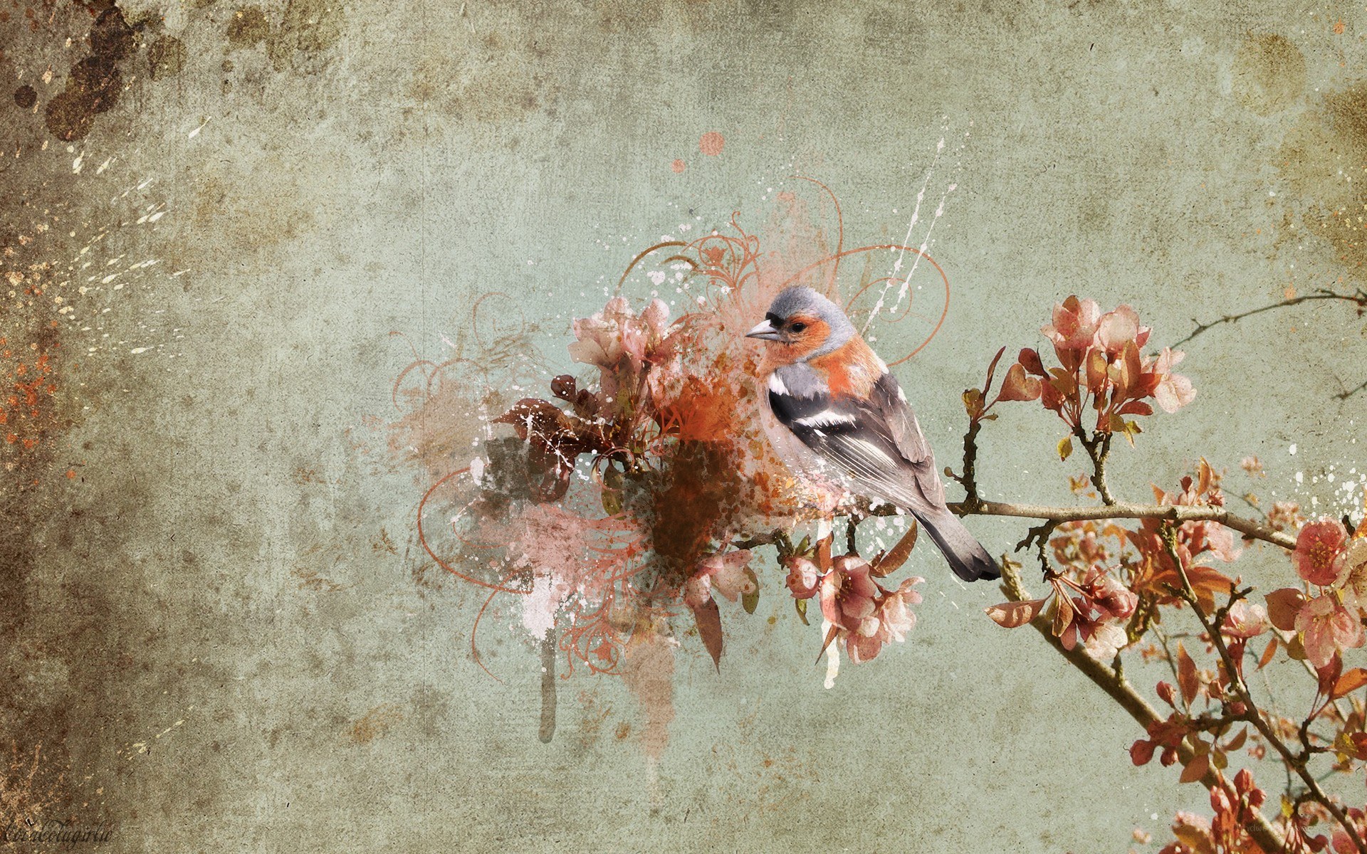 bird on a flowering branch