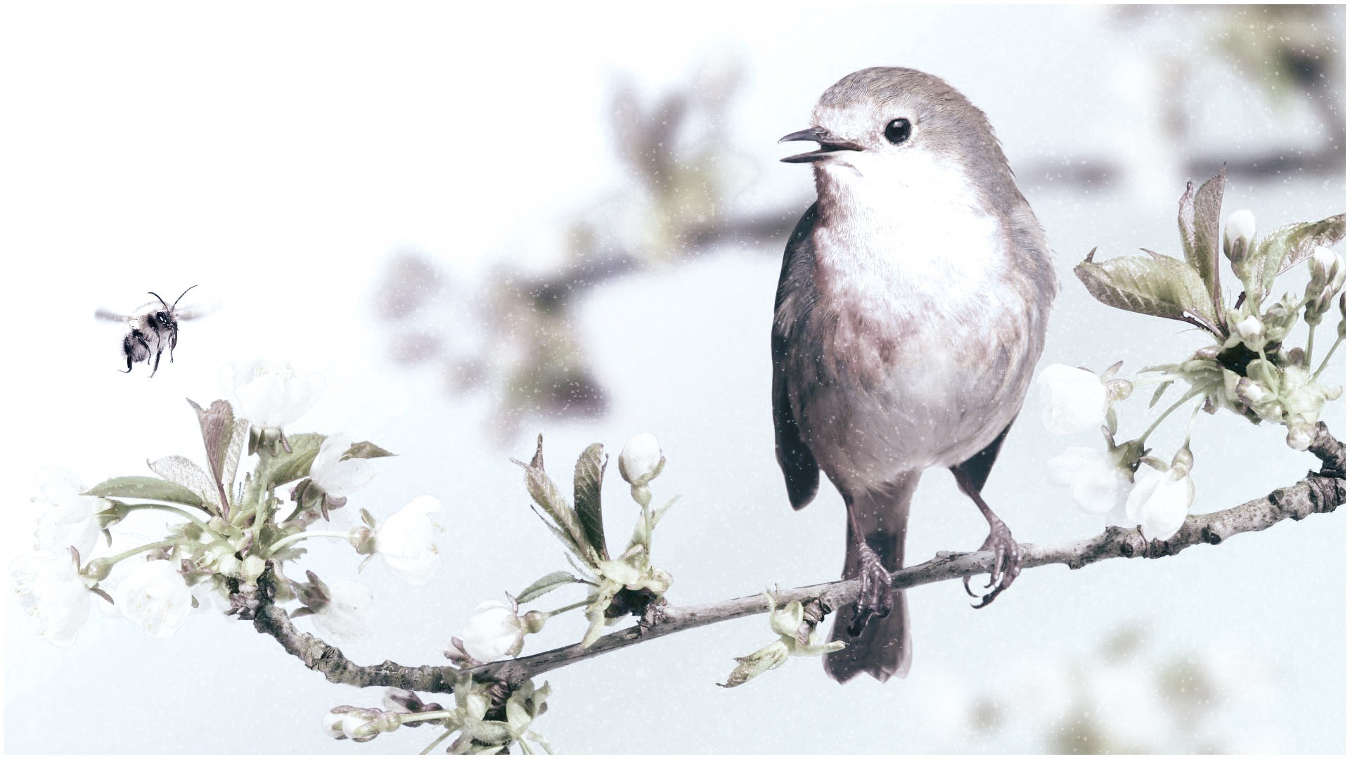 Bird on a flowering branch