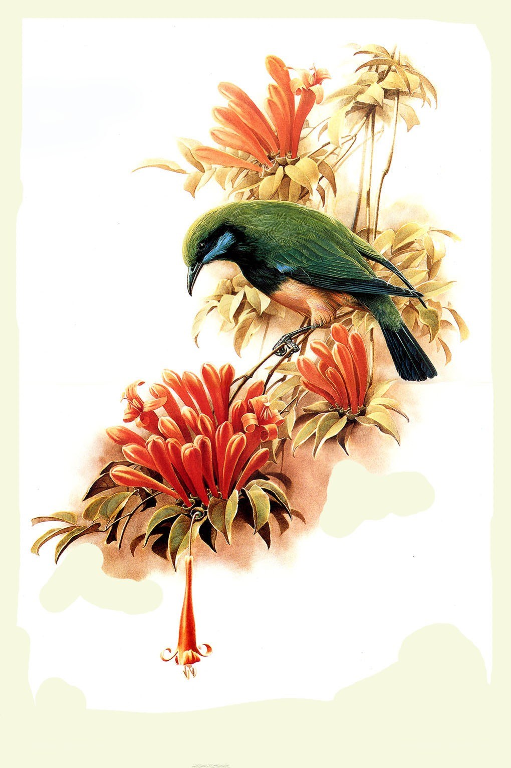 Bird on a flowering branch