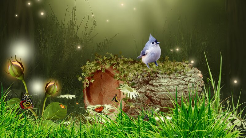 Bird on a Log — Green