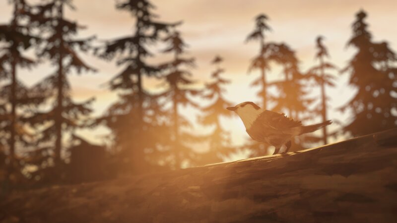 Bird on a Log — Orange