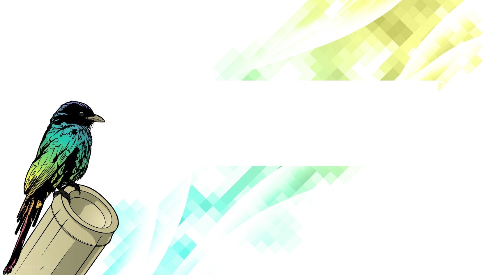 bird on a pole illustration