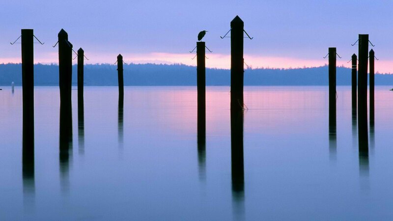 Bird on a post at dusk