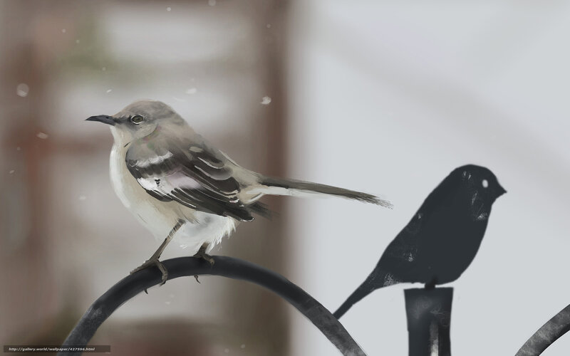 bird on a wire in snow