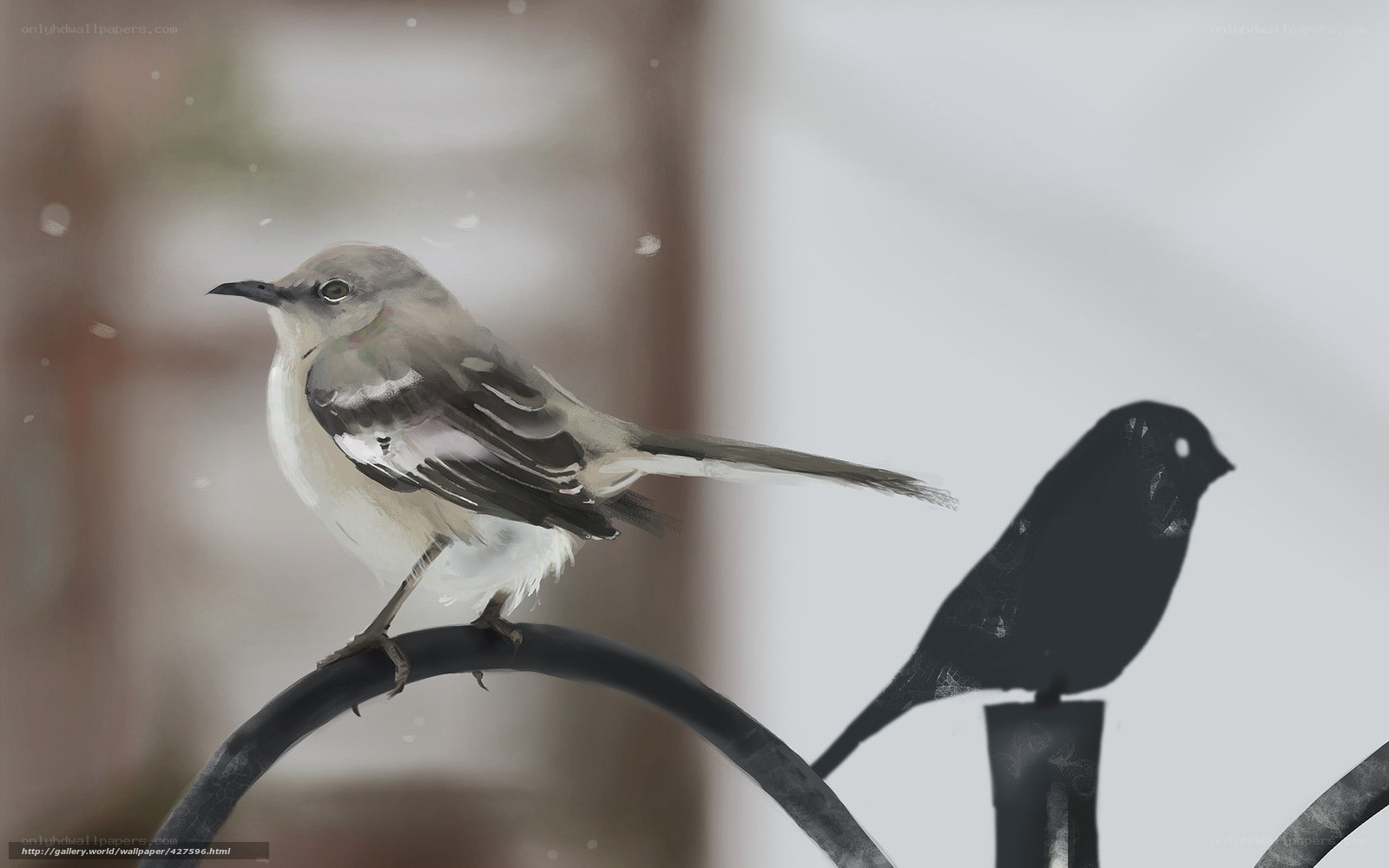 bird on a wire in snow