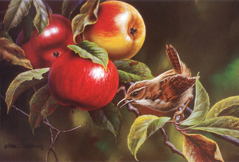 bird on apple branch