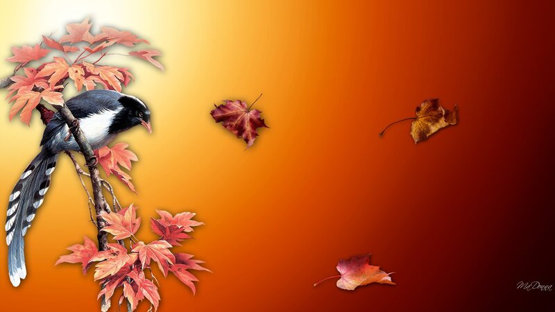 Bird on Autumn Branch — Orange, Serene, Illustration