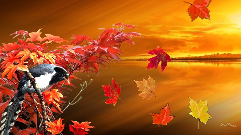Bird on Autumn Branch — Orange, Serene