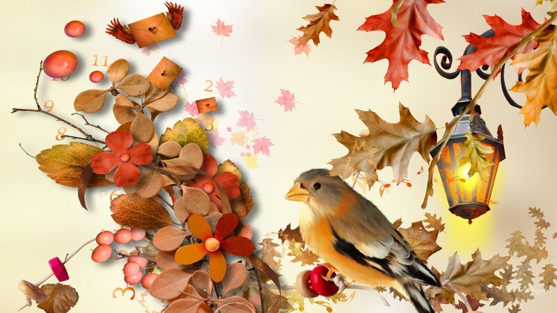 Bird on Autumn Branch — Orange