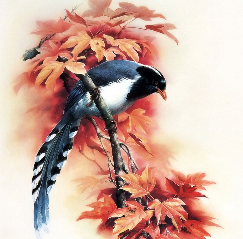 Bird on Autumn Branch — Red