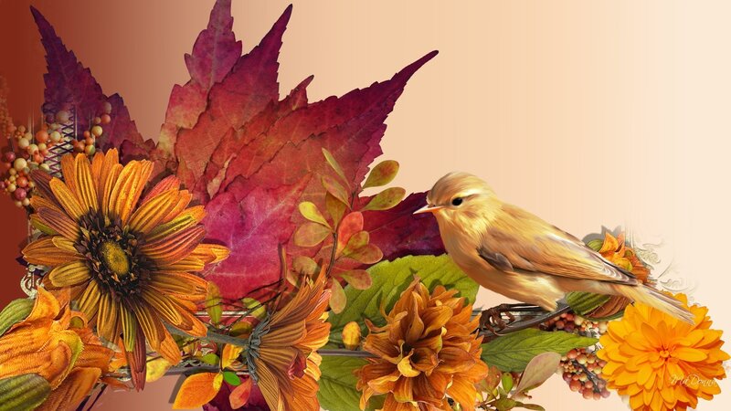 Bird on Autumn Flowers — Orange, Calm