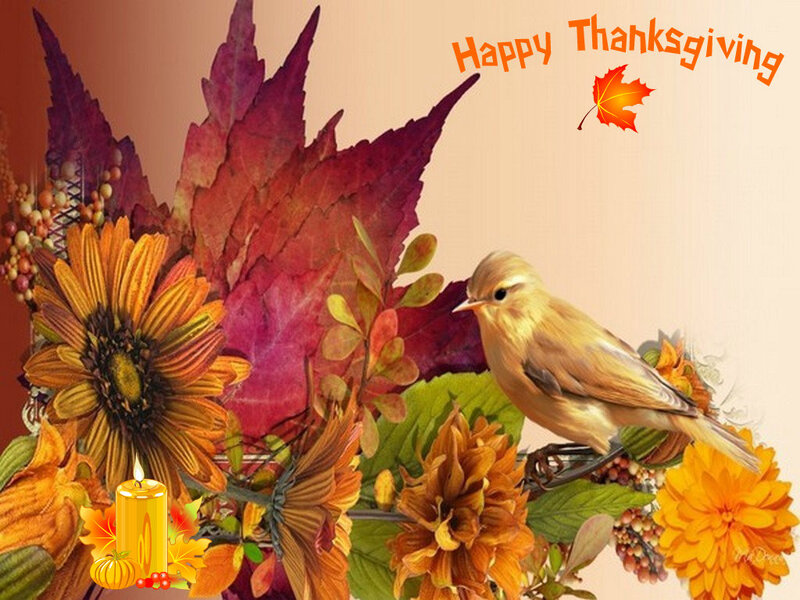 Bird on Autumn Flowers — Orange, Festive