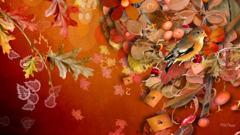 Bird on Autumn Leaves