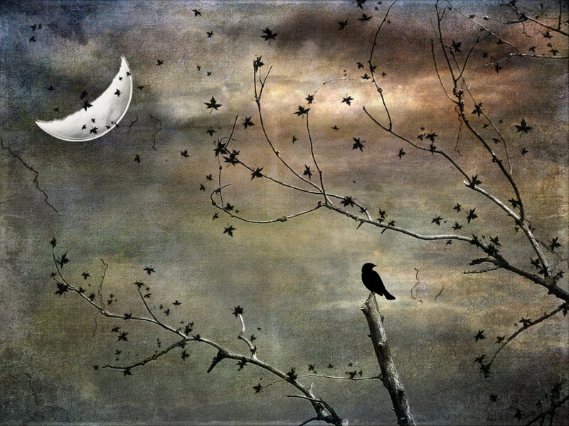Bird on Bare Branch — Gray
