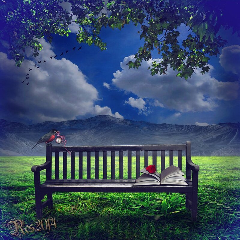 Bird on Bench