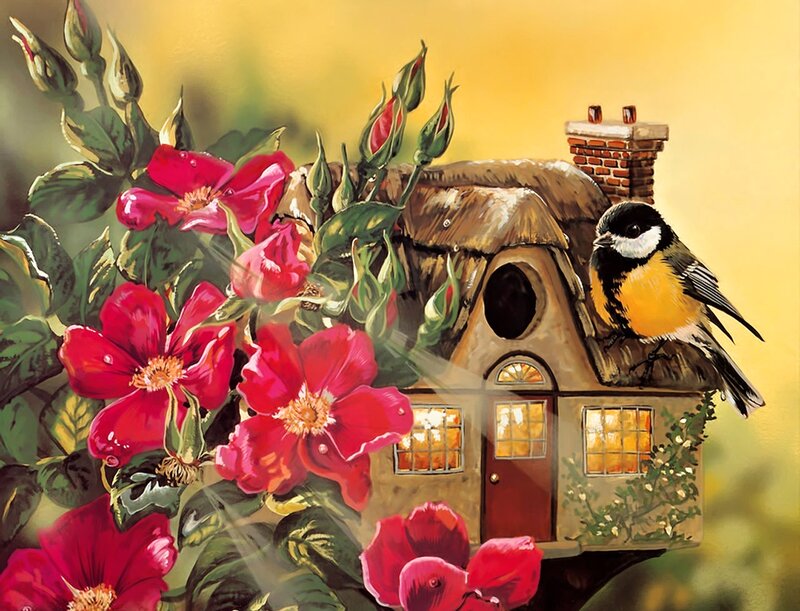 Bird on Birdhouse — Red, Serene, Afternoon