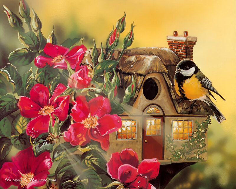 Bird on Birdhouse