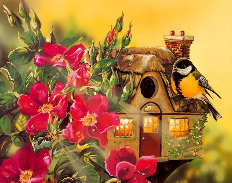 Bird on Birdhouse — Yellow, Serene, Afternoon