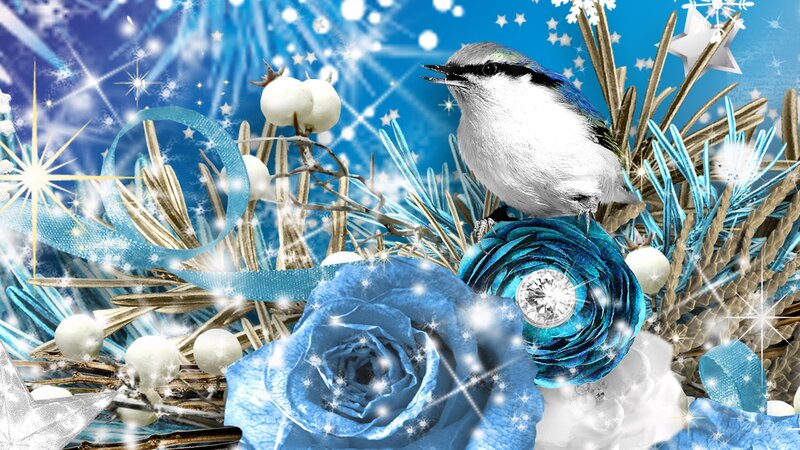 Bird on Blue Rose