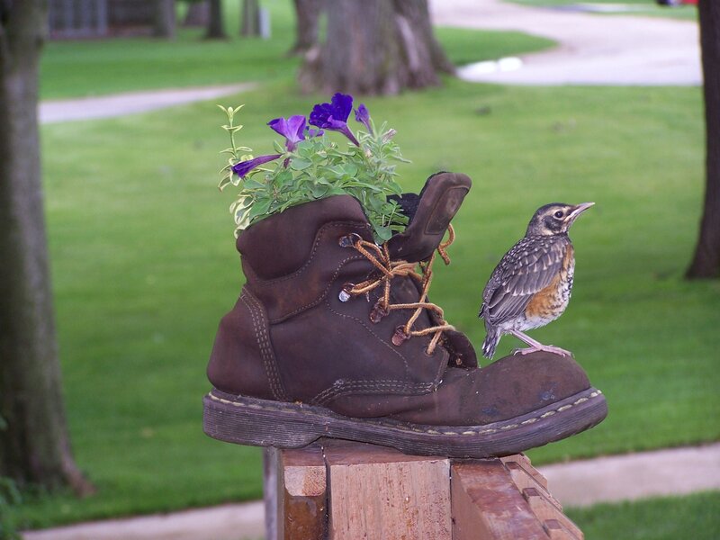 Bird on Boot Planter